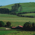 NEW-ZEALAND TRAVEL ITINERARY - CLASSIC