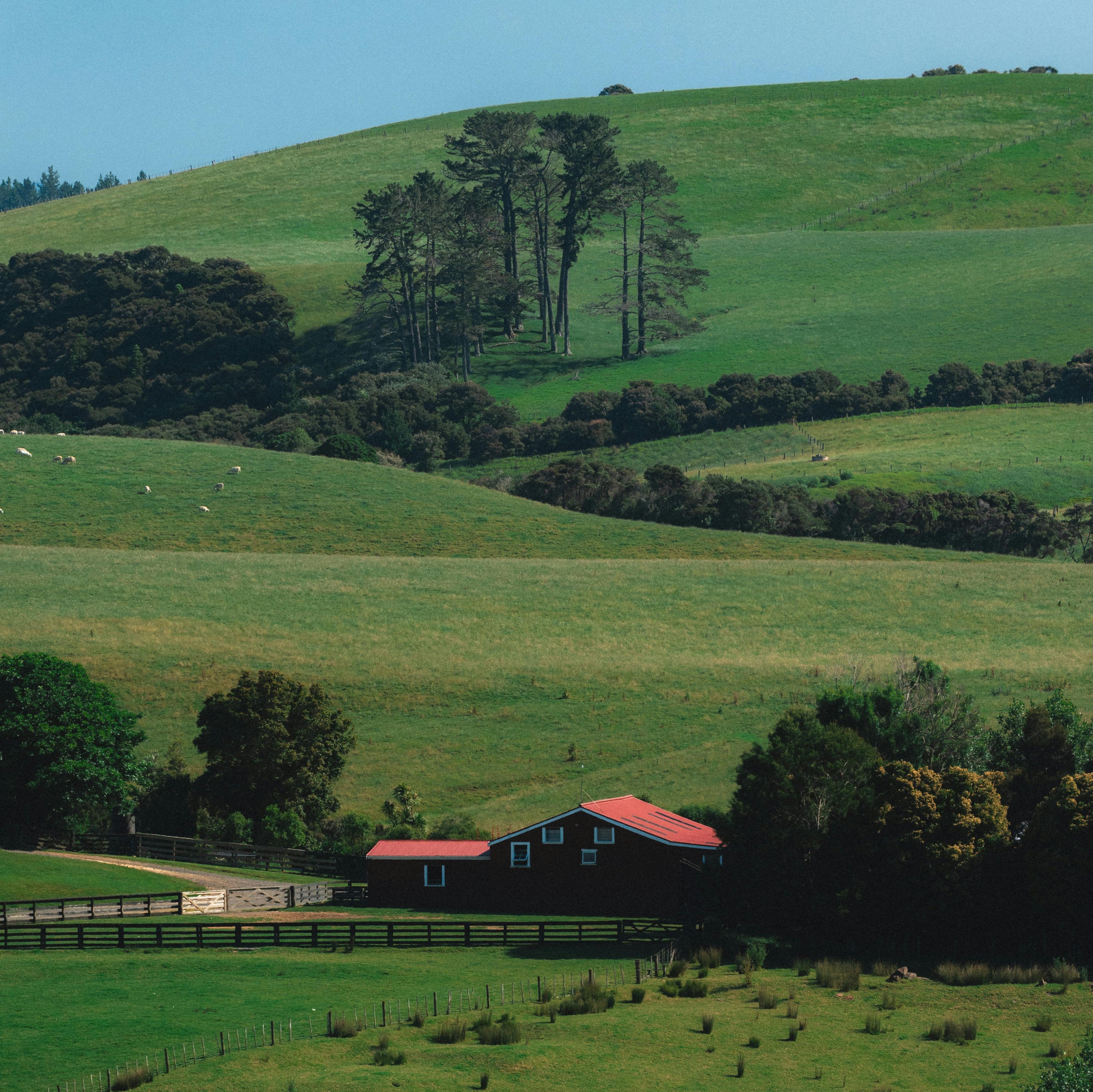 NEW-ZEALAND TRAVEL ITINERARY - CLASSIC